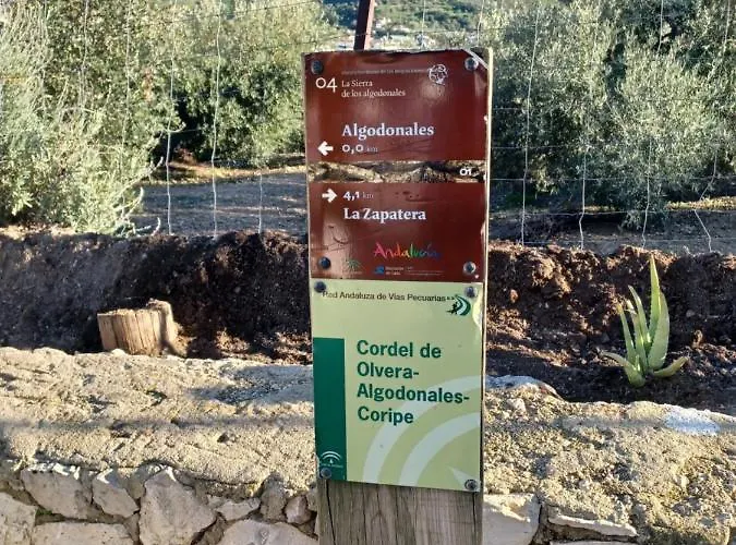 Dom wakacyjny Casa Diego. *